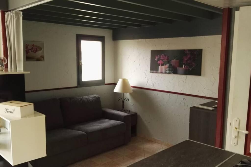 Studio Mezzanine En Residence Avec Piscine Au Village Le Barcarès Eksteriør billede